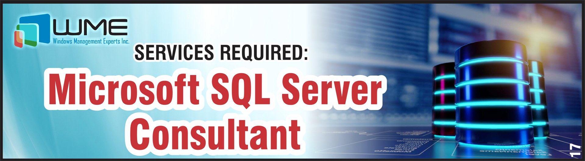 Microsoft SQL Server Consultant