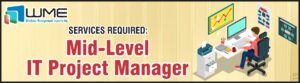 Mid-Level IT Project Manager
